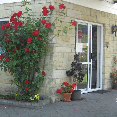 Rose Court Motel Rotorua Exterior photo